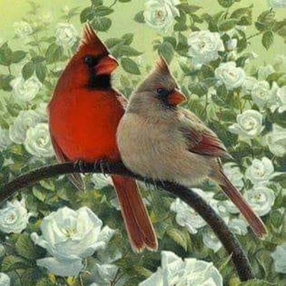 Meet your Posher, Alice - Picture 1 of 1